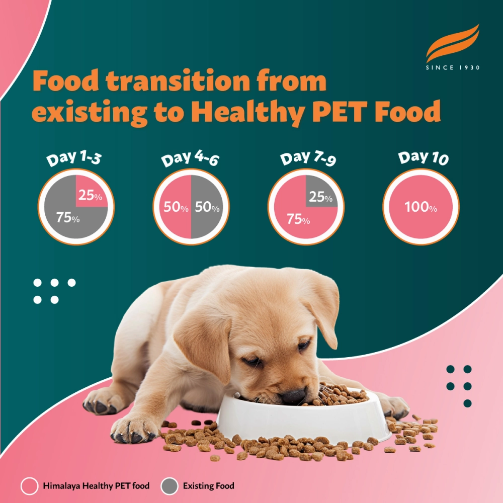 Himalaya Chicken & Milk Healthy Dry Food and Chicken Healthy Treats Puppy Combo