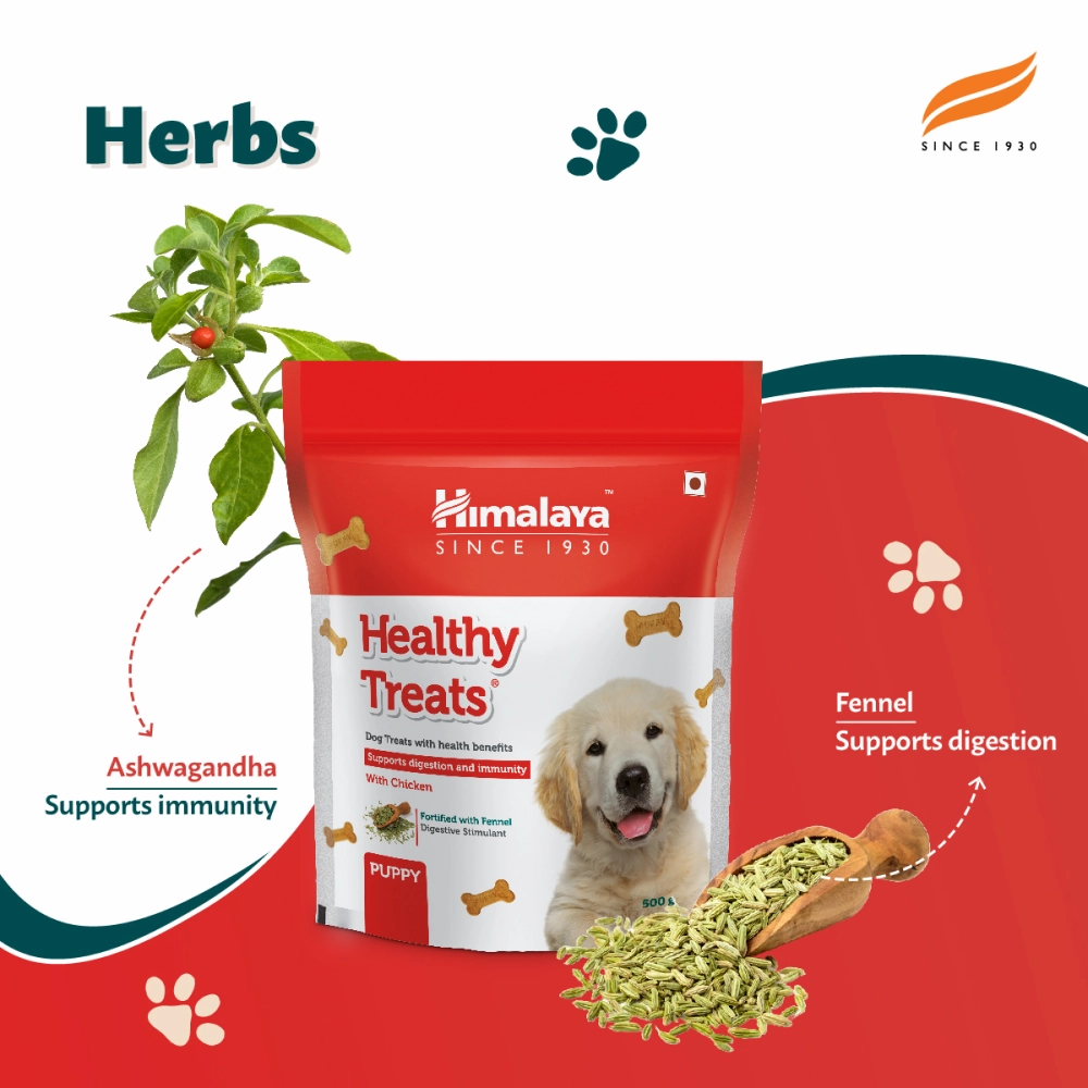 Himalaya Chicken & Milk Healthy Dry Food and Chicken Healthy Treats Puppy Combo