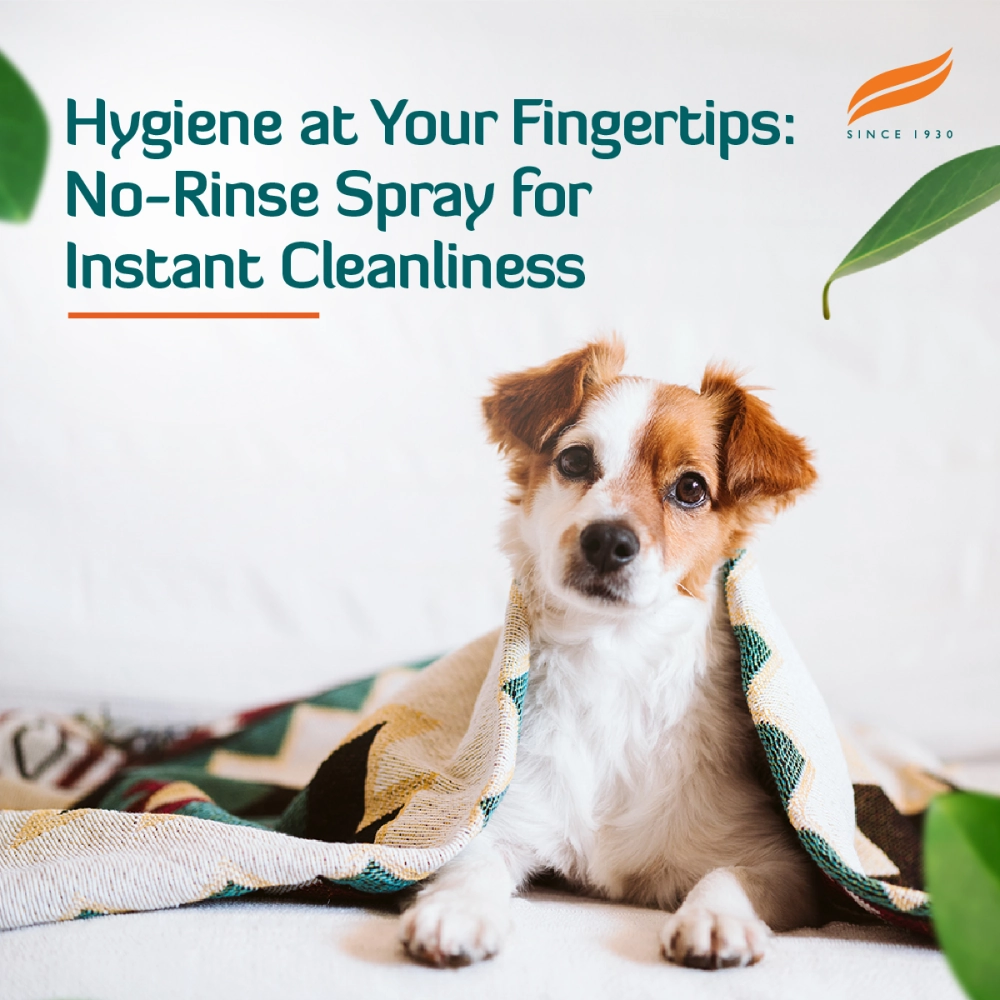 Himalaya Fresh Coat No Rinse Spray & Furlicks Gut Health Supplement Dog & Cat Combo