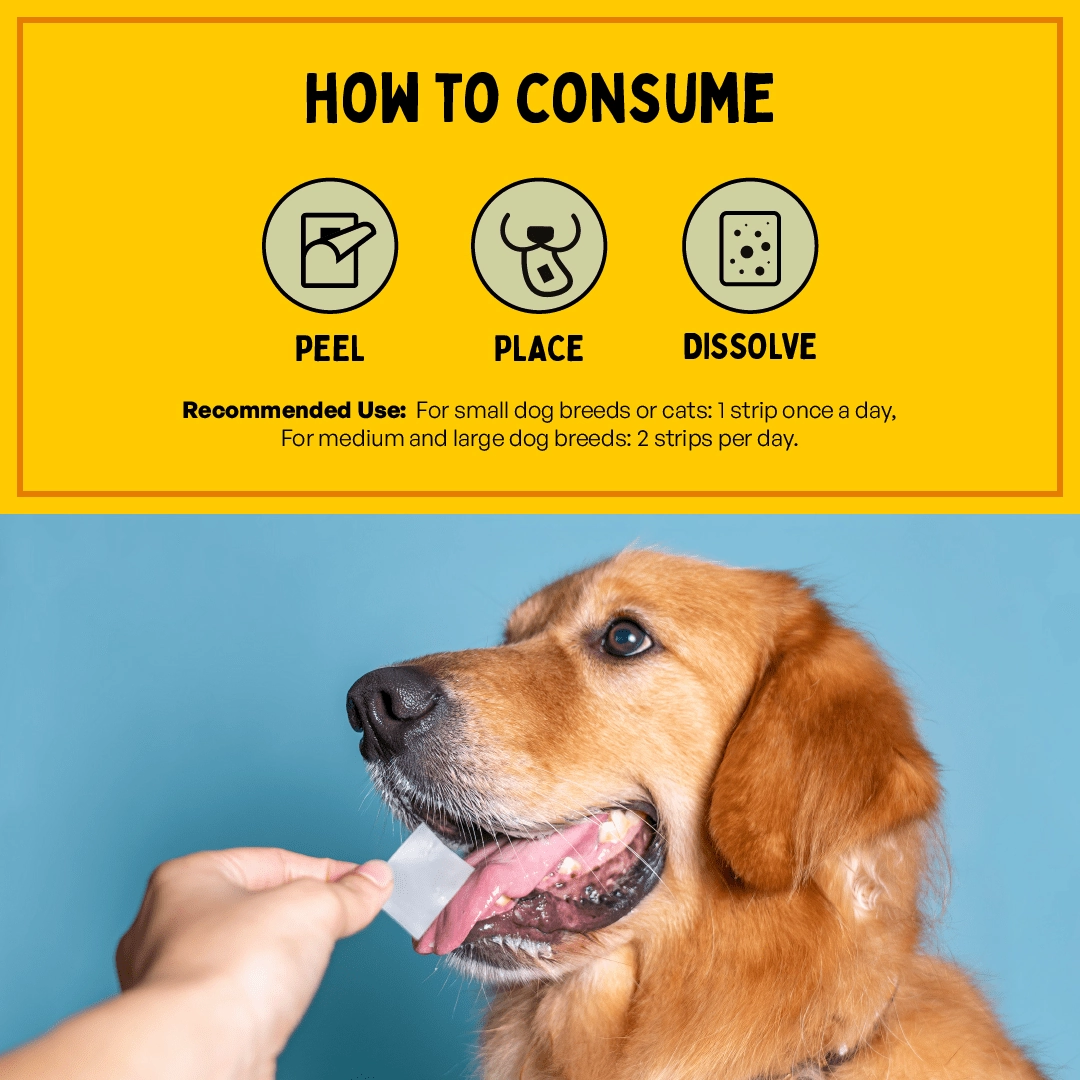 Himalaya Fresh Coat No Rinse Spray & Furlicks Gut Health Supplement Dog & Cat Combo