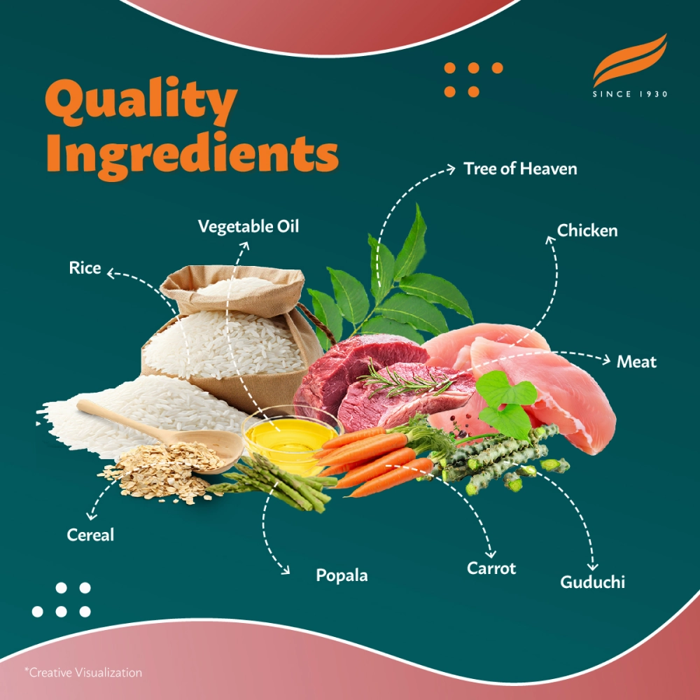 Himalaya Meat & Rice Healthy Pet Adult Dog Dry Food