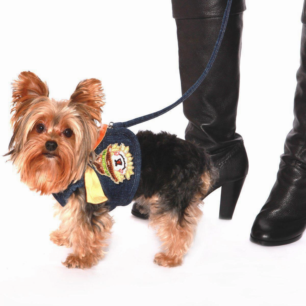 Hollywood Denim Dog Harness Vest With Silk Tie