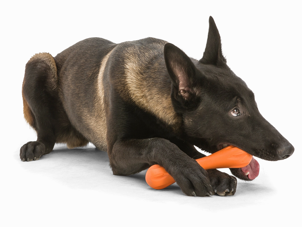 Hurley Dog Bone Chew Toy