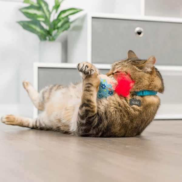 Huxley & Kent Jelly Roll & Meowchewits Cat Toy
