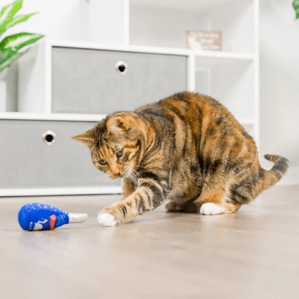 Huxley & Kent Jelly Roll & Meowchewits Cat Toy