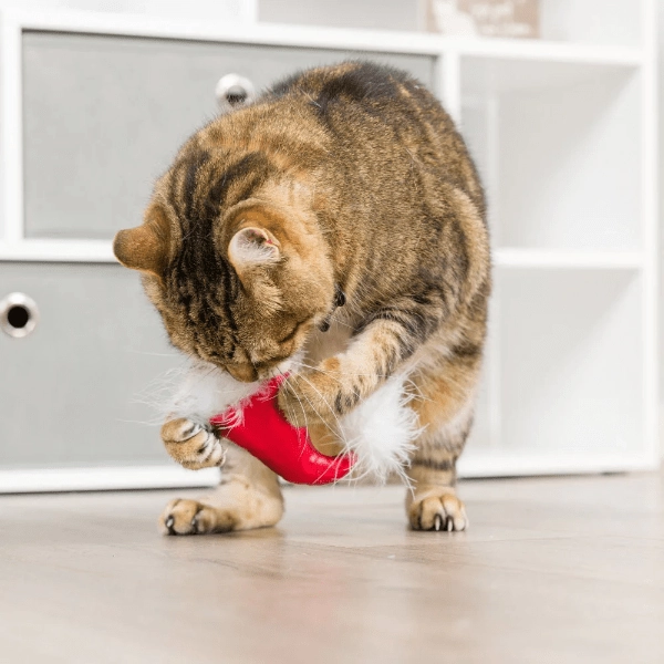 Huxley & Kent Santa Hat & Sweet Thing Candy Cat Toy