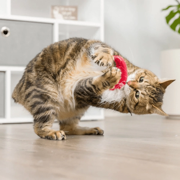 Huxley & Kent Santa Hat & Sweet Thing Candy Cat Toy