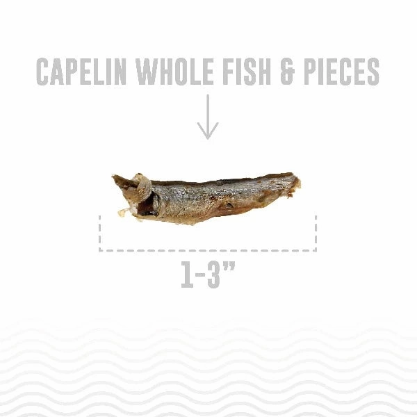 Icelandic  Capelin Whole Fish Cat Treats (SPECIAL ORDER ITEM)