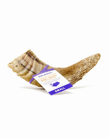 Icelandic  Small Lamb Horn with Marrow Dog Treat
