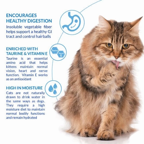 Inaba Churu Hairball Control Tuna Recipe Creamy Pure Cat Treat