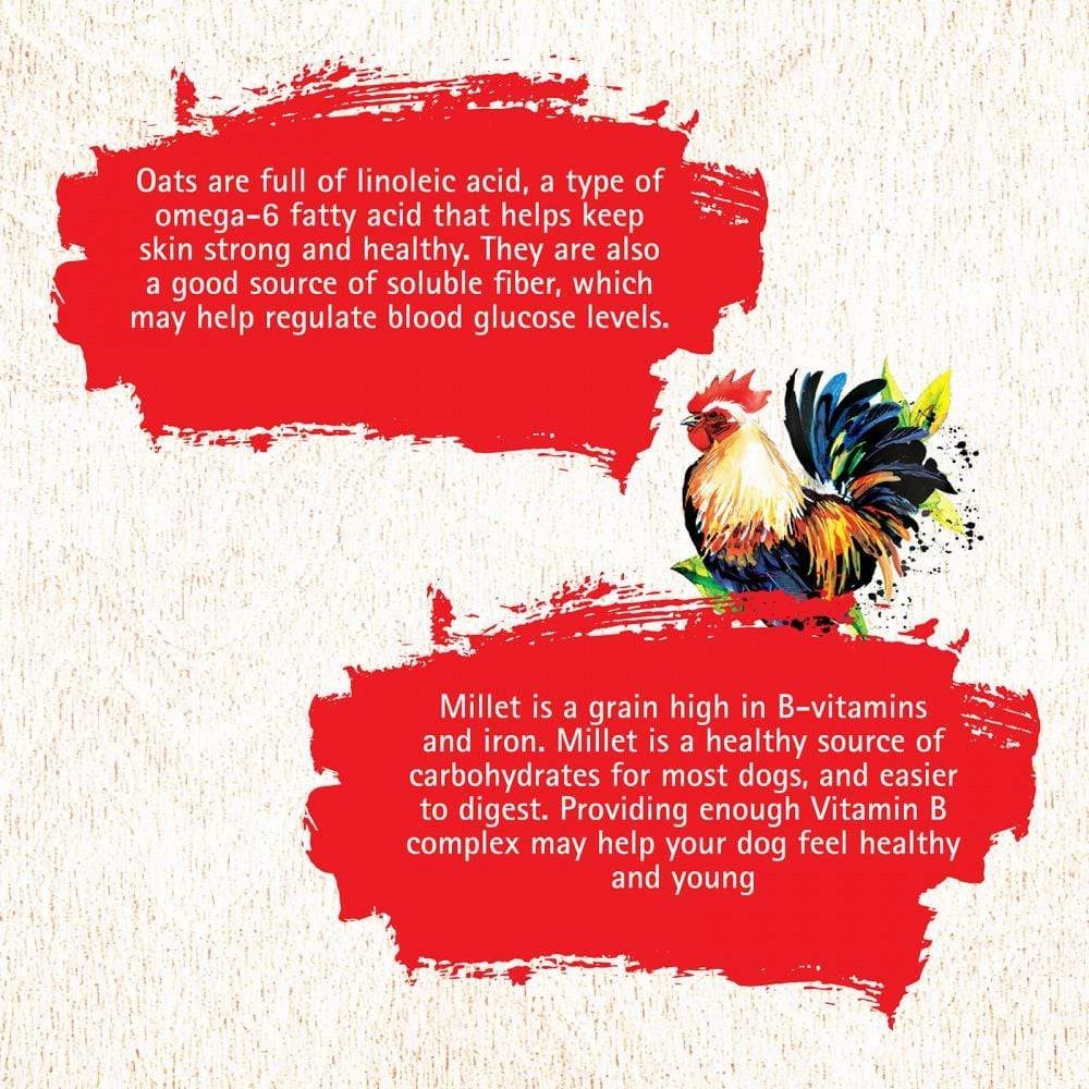 Inception Chicken Recipe Dry Dog Food