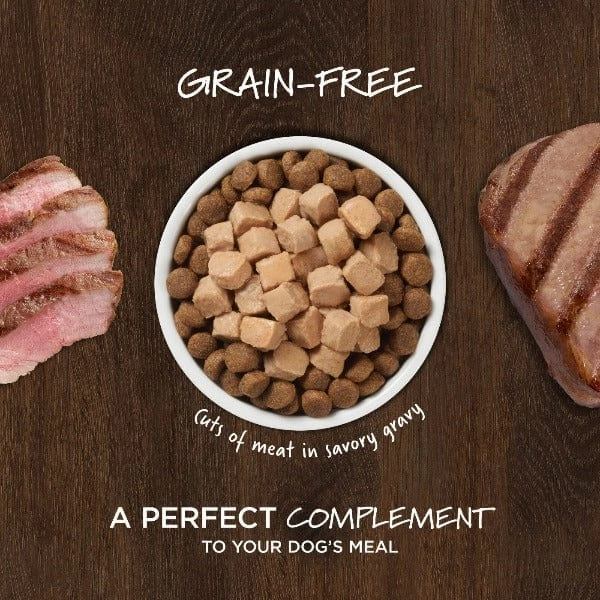 Instinct Healthy Cravings Real Lamb Recipe Dog Food Pouch
