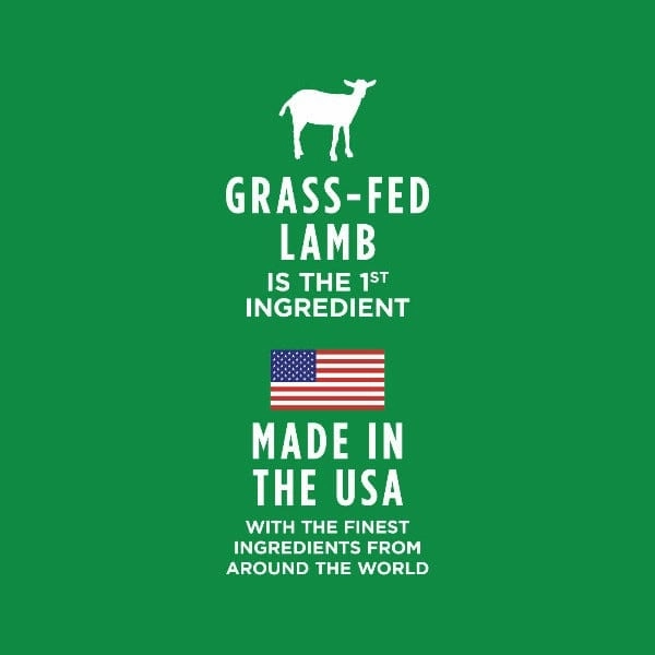 Instinct Healthy Cravings Real Lamb Recipe Dog Food Pouch