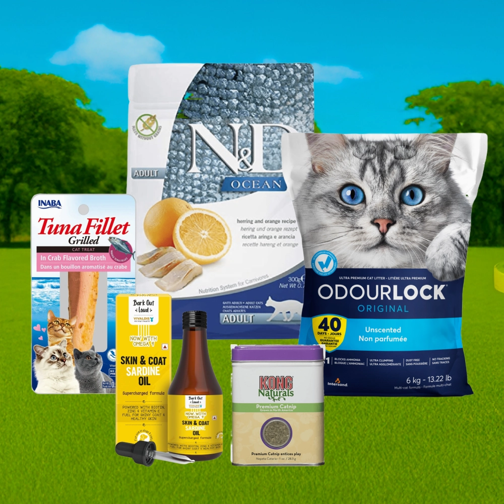 Intersand Cat Litter, INABA Tuna Treats, Bark Out Loud Sardine Oil, Farmina N&D Dry Food & Kong Catnip Limited Cat Hamper