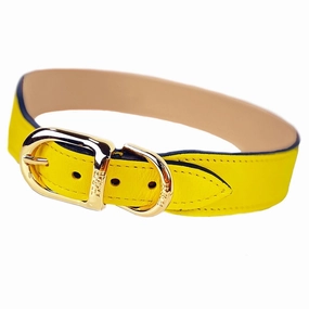 Italian Leather Dog Collar Canary Yellow/Gold