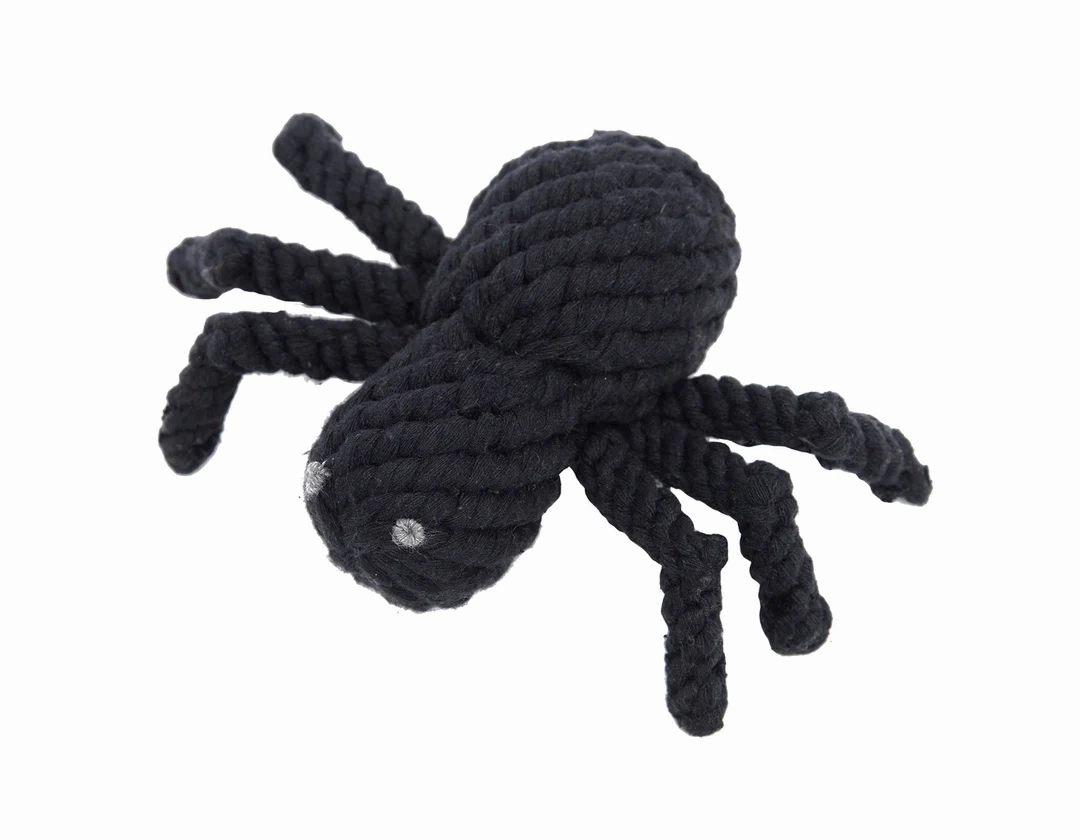 Jax & Bones Spike the Spider 5"