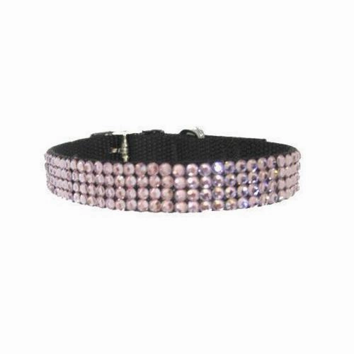 June Birthstone Light Amethyst Crystal Dog Collar