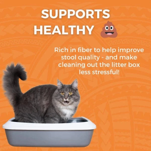 KOHA Limited Ingredient Bland Diet Chicken & White Rice Recipe for Cats