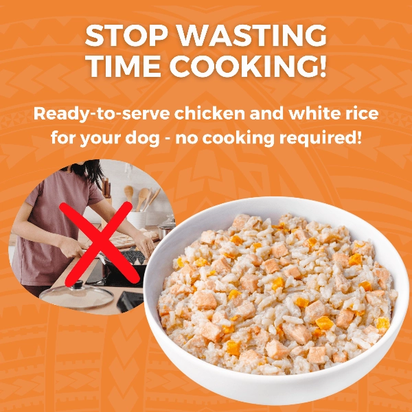KOHA Limited Ingredient Bland Diet Chicken & White Rice Recipe for Dogs