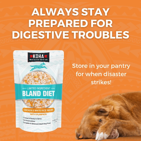 KOHA Limited Ingredient Bland Diet Chicken & White Rice Recipe for Dogs