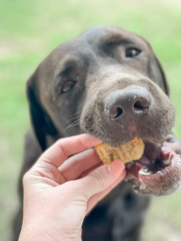 L'Barkery Chicken Nuggetz