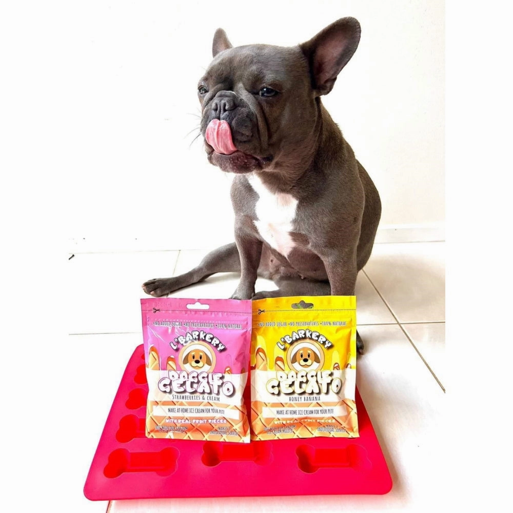 L'Barkery Doggie Gelato - Honey & Banana