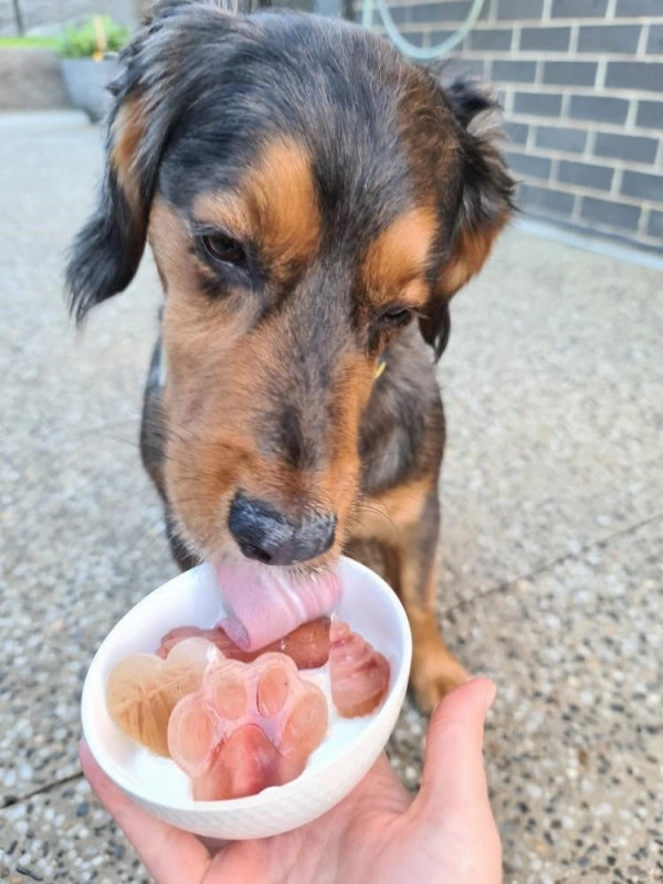 L'Barkery Doggie Pupsicles