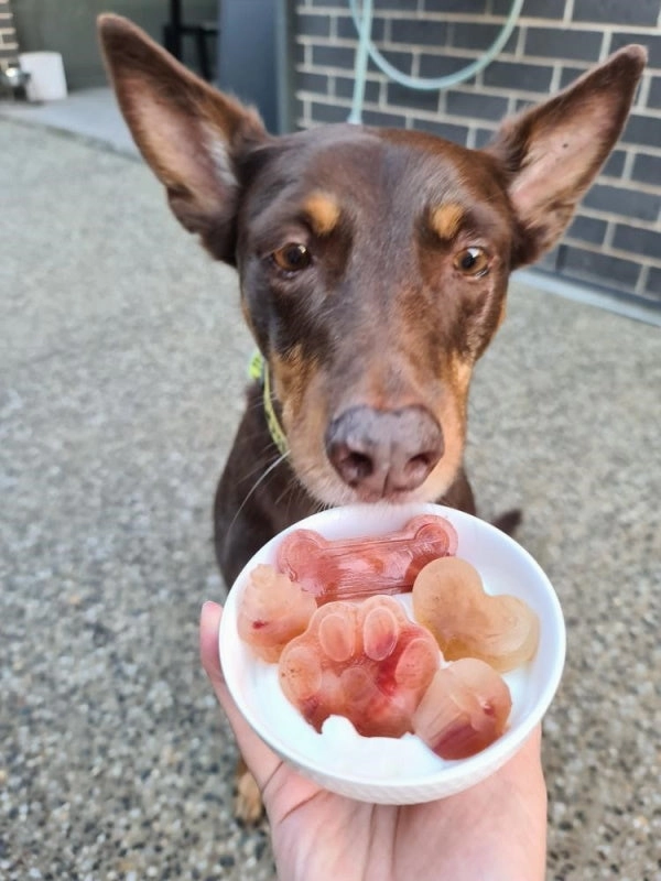 L'Barkery Doggie Pupsicles