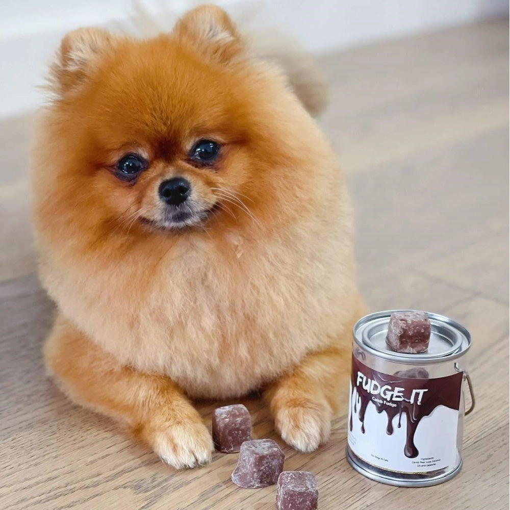 L'Barkery Fudge It