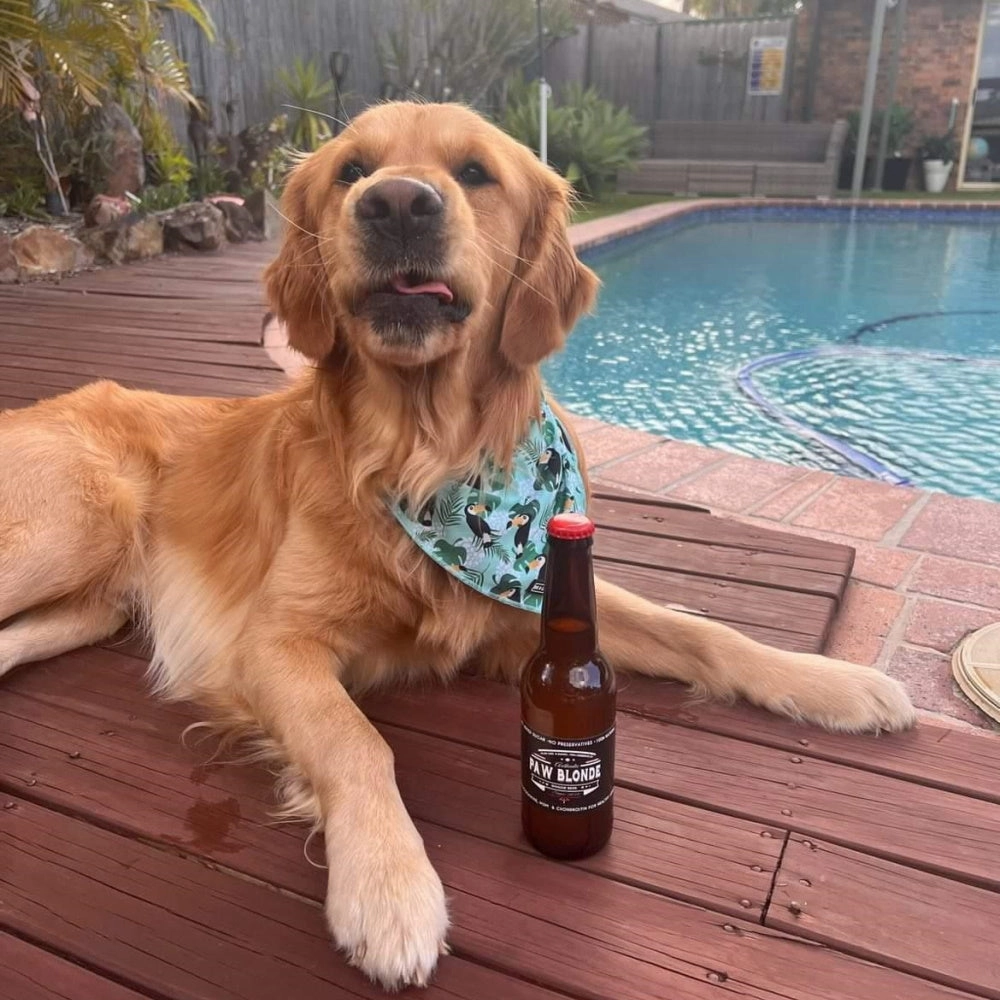 L'Barkery Paw Blonde Bottle