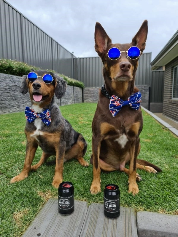 L'Barkery Paw Blonde Can