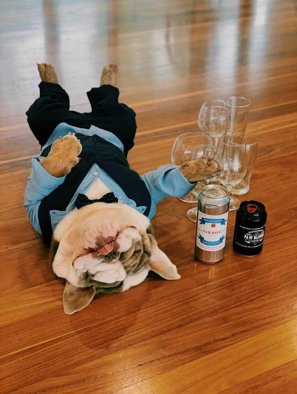 L'Barkery Paw Blonde Can