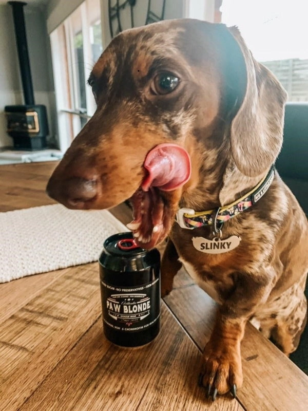 L'Barkery Paw Blonde Can
