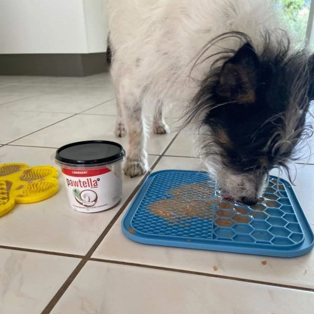 L'Barkery Pawtella