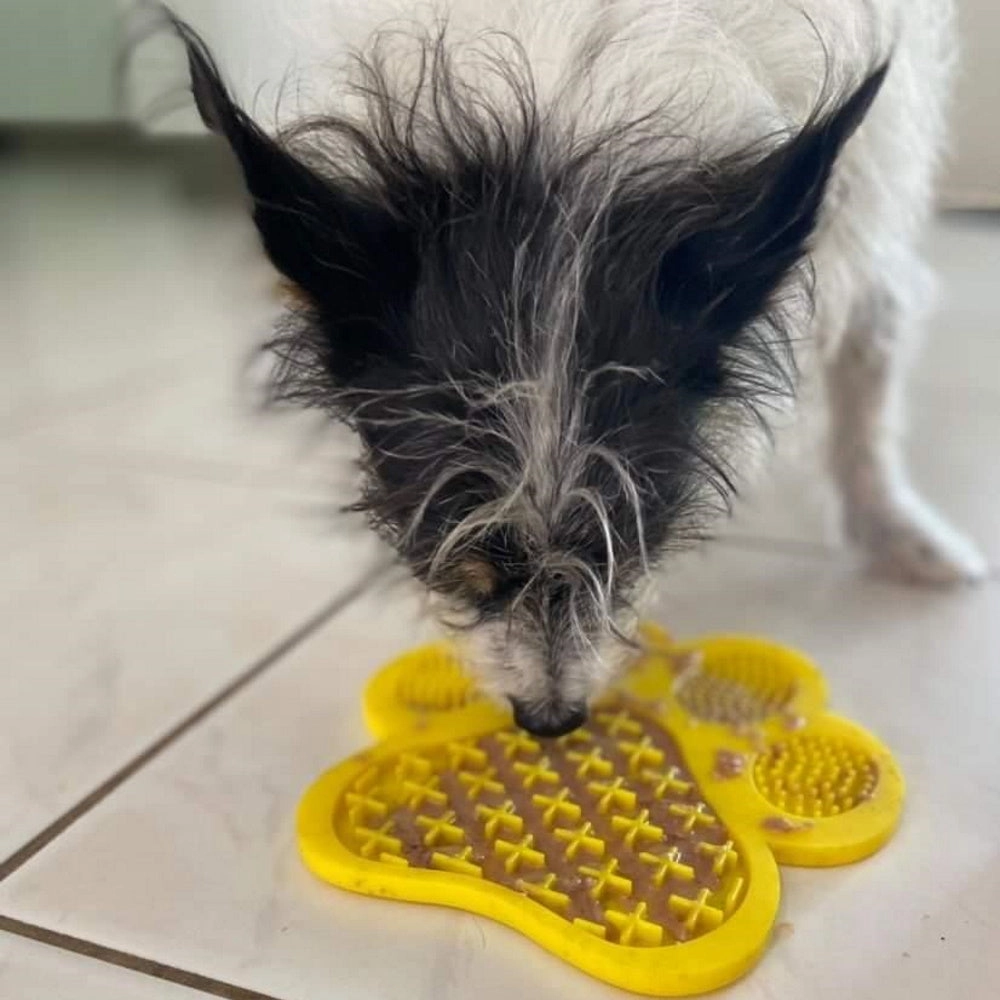 L'Barkery Pawtella