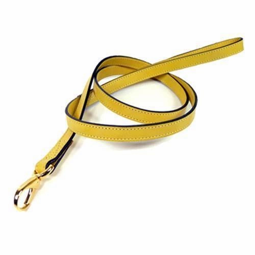 Leap Frog Collection Dog Leash Canary Yellow