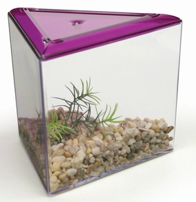 Lee's Aquarium Triangle Betta Fish Keeper Tank