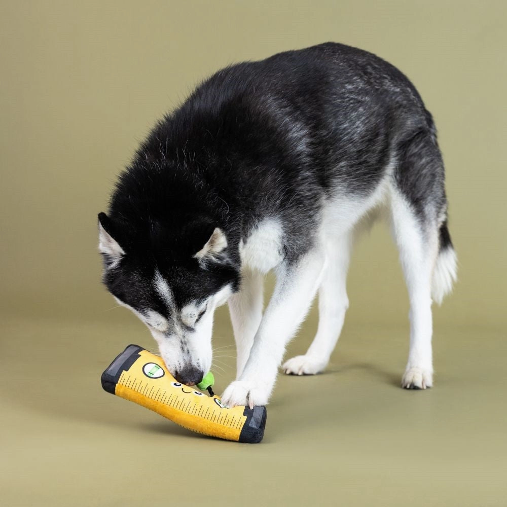 Let Me Level With You Dog Plush Toy