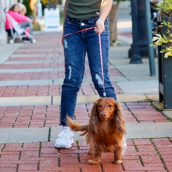 Li'l Pals Dog Leash with E-Z Snap