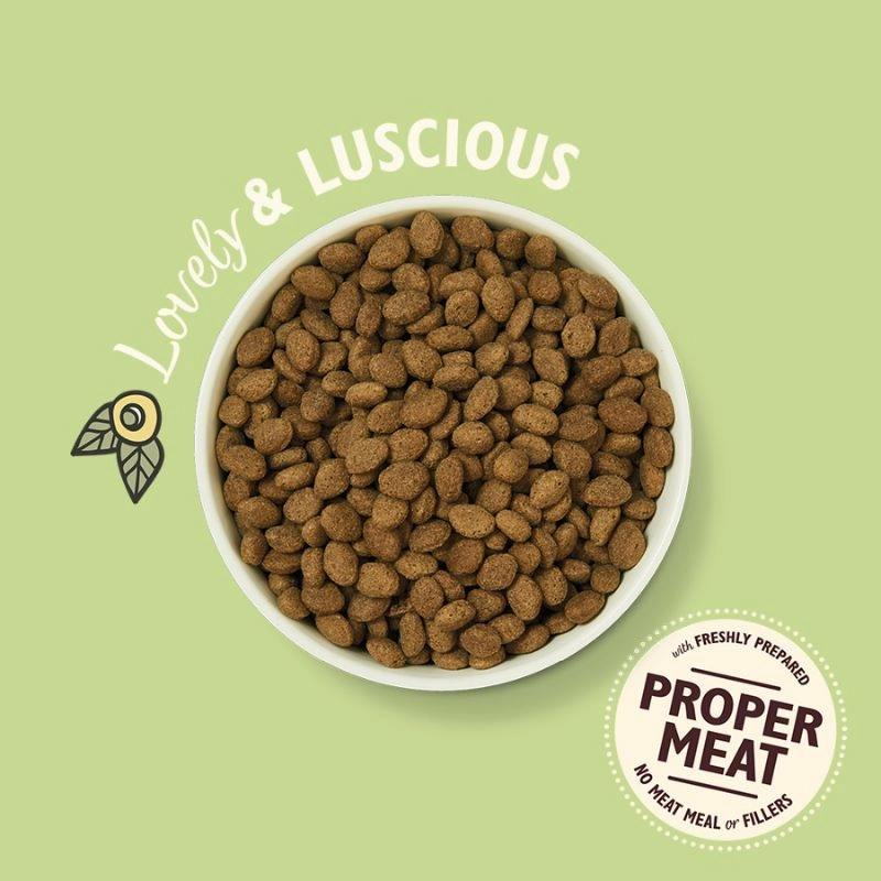 Lily's Kitchen - Dry Food For Dogs - Lamb Dry Food