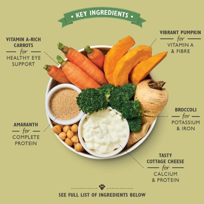Lily's Kitchen - Wet Food For Dogs - Wholesome Veggie Feast 375g