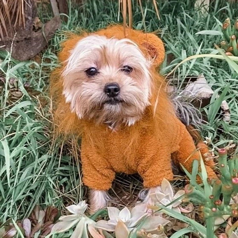 Lion Jumpsuit Dog Costume - Small / Medium Dogs