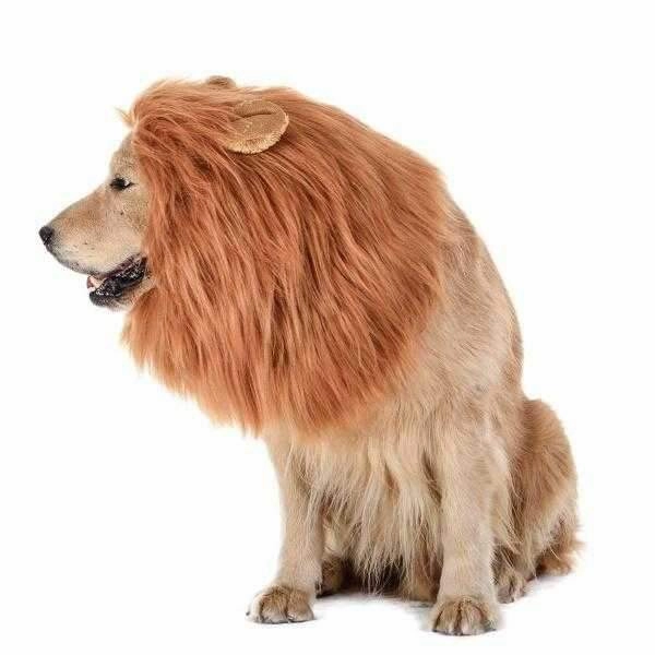Lion Mane Dog Costume - Medium to Large Dogs