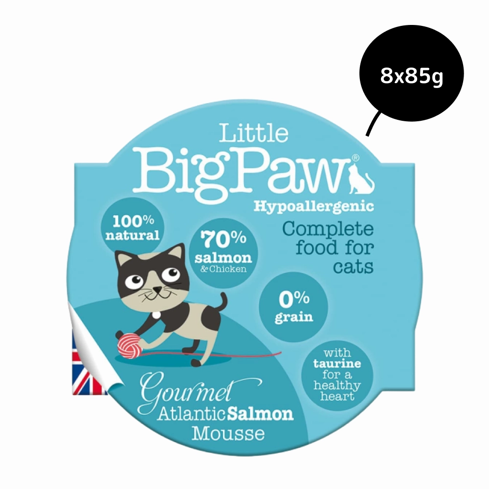 Little Big Paw Atlantic Salmon Mousse Cat Wet Food
