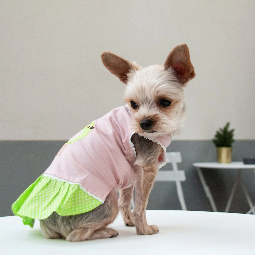 Little Birdy Dog Dress