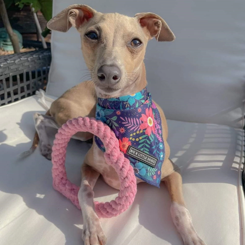 Love Heart Rope Dog Toy