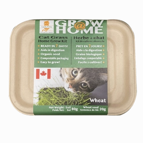 Lucky Kitty Grow @ Home Cat Grass Home Grow Kit; Wheat
