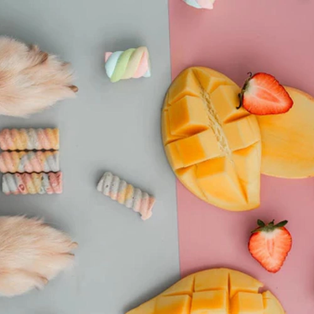Marshmallow Swirl Freeze Dried Treats for Dogs and Cats