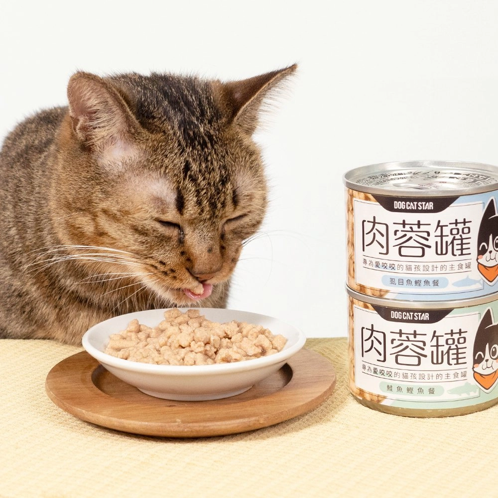 Mini-Meat-Ball - Chicken Complete Balanced Cat Can