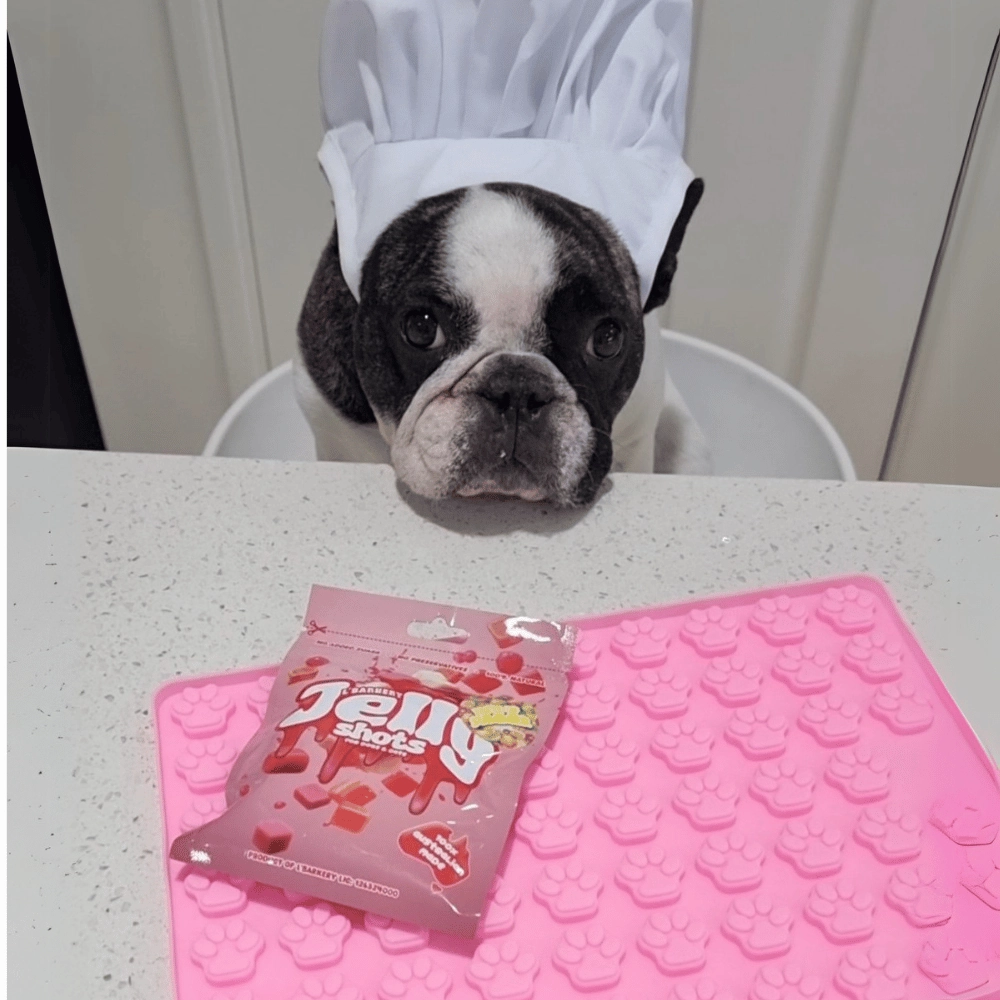 Mini Paws Silicone Mould